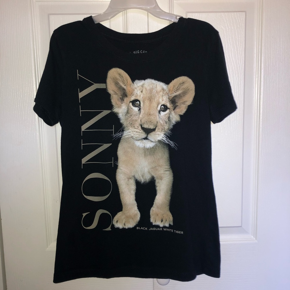 Beautiful lion T